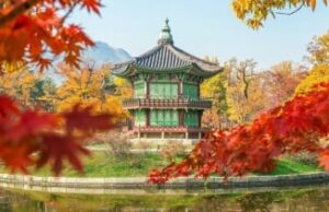 Dos semanas antes del concierto y el equipo admiten que no puedo esperar para conocer a los fanáticos Ilustrasi wisata Korea Selatan