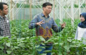 El Consejo Británico cooperó a los jóvenes para superar el cambio climático Program British Council (Doc: Istimewa)