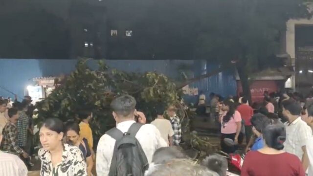 Tree branch falls near Mulund station in Mumbai, some people have sustained minor injuries: Officials