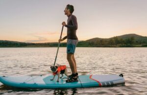 Este verano de 2025, aquí está su guía para actividades interiores y al aire libre alrededor de Mumbai esta temporada Screens off, summer on! Check out these indoor and outdoor activities around Mumbai this season