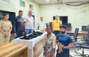Raids de departamento forestal Hotel Mumbai, agarra gibones raros y macacos Forest Department raids hotel in south Mumbai, seizes rare gibbons and macaques; two including Malaysian held