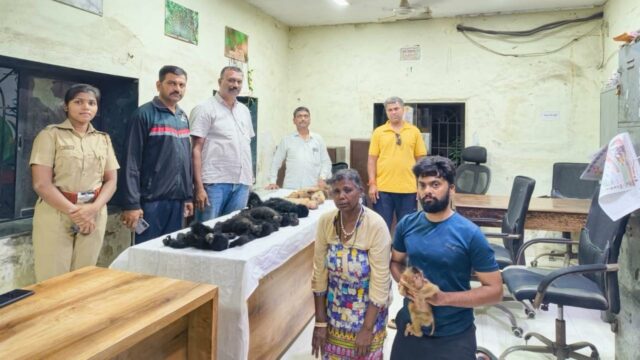 Forest Department raids hotel in south Mumbai, seizes rare gibbons and macaques; two including Malaysian held
