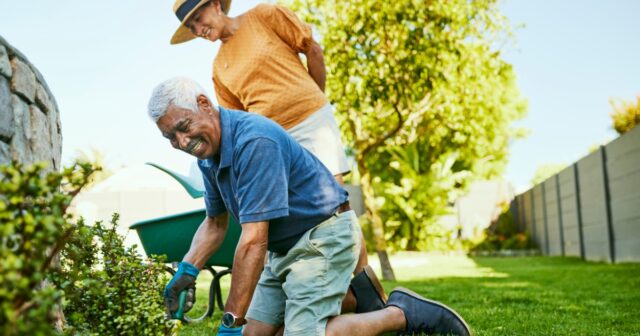 Gardening Without the Ache