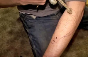 Héroe o sys-terical? Hero or Hiss-terical?