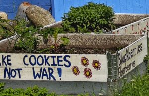 # 10 de 10 para panqueques en la parte superior del ganso Pond 0.00 # 10 de 10 para panqueques en la parte superior del ganso Pond 0.00