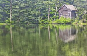 1.3 additional kilometers in Mt Graylock 0.00 1.3 additional kilometers in Mt Graylock 0.00