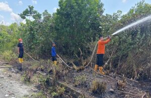 Se pide a los residentes de Penajam que no abran la tierra quemando durante la estación seca Se pide a los residentes de Penajam que no abran la tierra quemando durante la estación seca