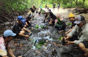 Dlh parigi Moutong Central Sulawesi Acción FKPAPT Plantación 1,000 Semillas de manglar Dlh parigi Moutong Central Sulawesi Acción FKPAPT Plantación 1,000 Semillas de manglar