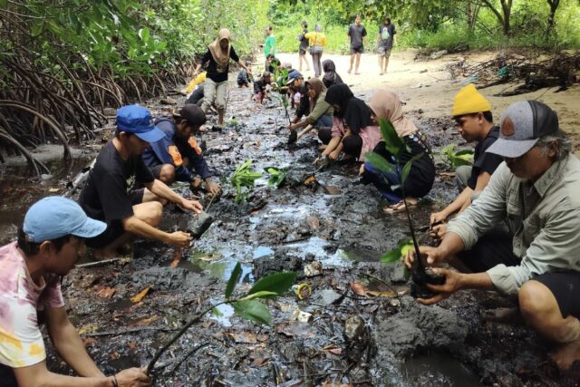 Dlh parigi Moutong Central Sulawesi Acción FKPAPT Plantación 1,000 Semillas de manglar


