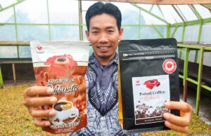 La historia del café Bengkulu sostenible ya no es solo y es transparente La historia del café Bengkulu sostenible ya no es solo y es transparente