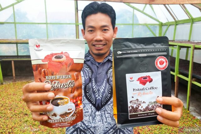 La historia del café Bengkulu sostenible ya no es solo y es transparente

