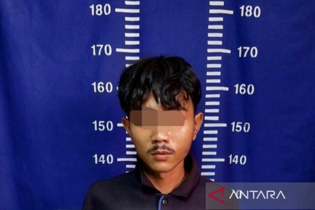 La madre que fue perseguida por su hijo en Bekasi experimentó una serie de contusiones


