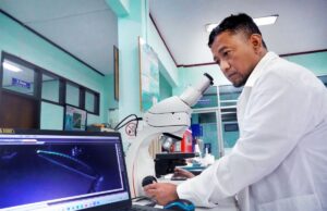 Equipo de investigación de Universitas Brawijaya Identificación de dos nuevos géneros Microalga Equipo de investigación de Universitas Brawijaya Identificación de dos nuevos géneros Microalga