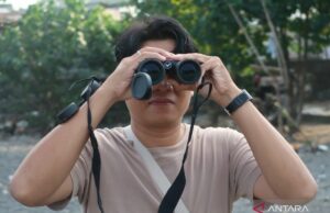 Activista Presentación de la observación del turismo educativo de las aves en el área de la playa de Ampenan NTB Activista Presentación de la observación del turismo educativo de las aves en el área de la playa de Ampenan NTB