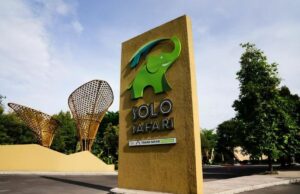 Destino turístico de Safari de solitario objetivo de destino turístico 5,000 visitantes por día durante las vacaciones escolares Destino turístico de Safari de solitario objetivo de destino turístico 5,000 visitantes por día durante las vacaciones escolares