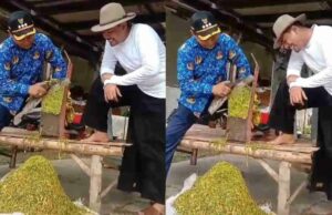 ¡El destino de los agricultores está amenazado! Probolinggo Waswas pp 28/2024 Economía regional de Pangkas ¡El destino de los agricultores está amenazado! Probolinggo Waswas pp 28/2024 Economía regional de Pangkas