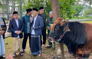 El gobierno de Bogor Regency distribuyó cientos de animales de sacrificio a varias regiones Pemkab Bogor distribusikan ratusan hewan kurban ke berbagai pelosok wilayah