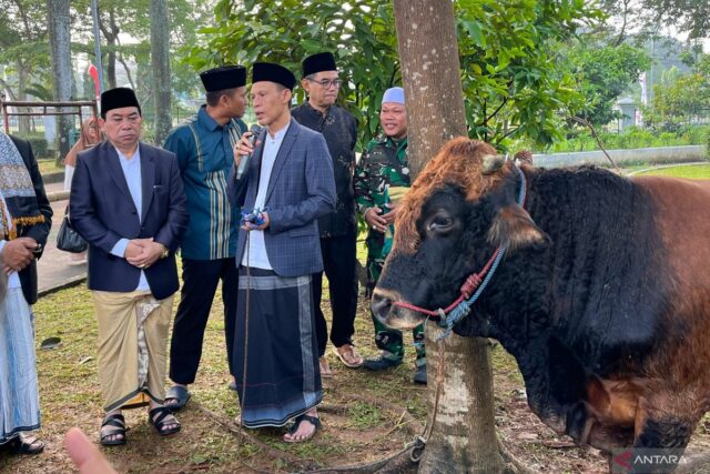 Pemkab Bogor distribusikan ratusan hewan kurban ke berbagai pelosok wilayah