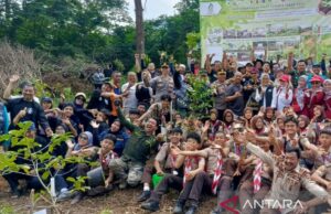 El gobierno de Bogor Regency aprecia mil árboles plantando en la cima por PT BAP El gobierno de Bogor Regency aprecia mil árboles plantando en la cima por PT BAP
