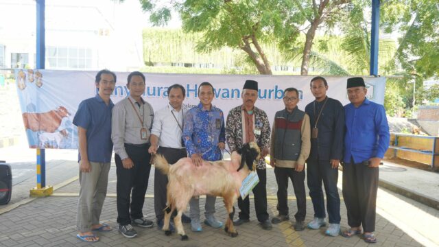Lograr la bendición eid al -adha, pln indonesia poder ubp grati distribuye animales de sacrificio

