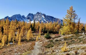 There are no new equipment, $ 11 flights and hiker mathematics: sticking to my $ 750 budget There are no new equipment, $ 11 flights and hiker mathematics: sticking to my $ 750 budget