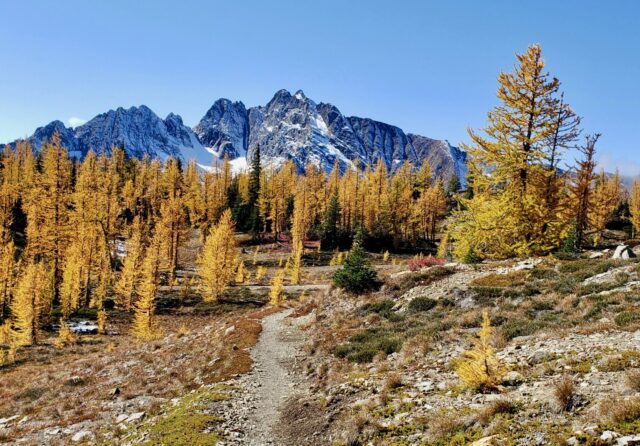 There are no new equipment, $ 11 flights and hiker mathematics: sticking to my $ 750 budget

