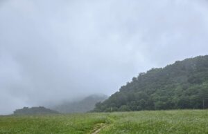 Day 45: Sloppy Slackpacking – The Trek Day 45: Sloppy Slackpacking - The Trek