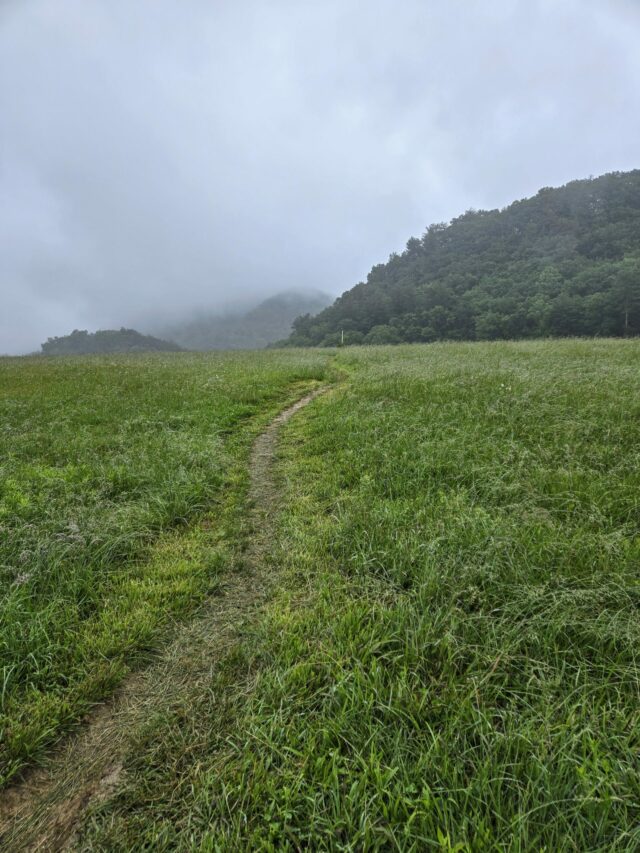 Day 45: Sloppy Slackpacking - The Trek

