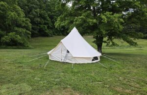 Day 46: Rovering about Huckelberry Hostel Day 46: Rovering about Huckelberry Hostel