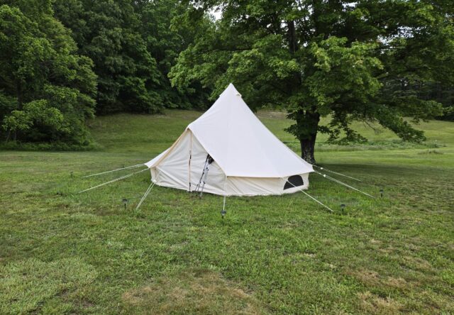 Day 46: Rovering about Huckelberry Hostel

