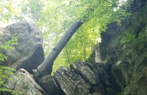 Nueva York es el camino? Nueva York es el camino?