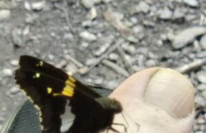 Day 43: Collaborating with my body Day 43: Collaborating with my body