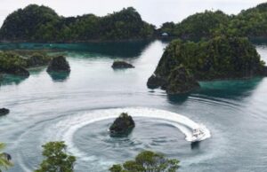 Lista de compañías mineras que se embolsaron el permiso para tirar la isla en Raja AMPAT