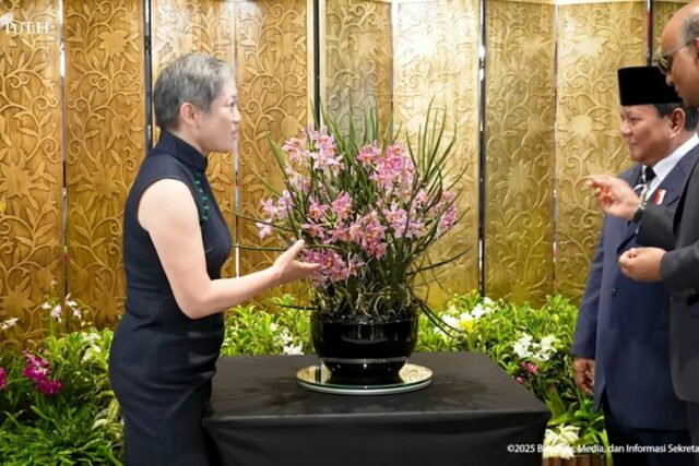 El presidente Prabowo nombra a la Orchid Diplomática de Singapur El presidente Prabowo nombra a la Orchid Diplomática de Singapur "Parafalante Dora Sigar"