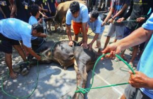 El secretario general de la ONU, Guterres desea que los musulmanes un bendito Eid al-Adha UN Secretary General Guterres Wishes Muslims a Blessed Eid al-Adha