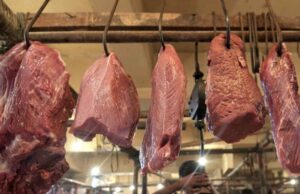 La cebolla de carne aumenta La cebolla de carne aumenta