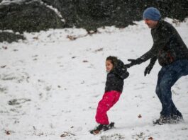 La primera nevada esta temporada llega a Nueva York

