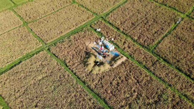 Tecnología y ciencias agrícolas que ingresan a los campos, aprendiendo la granja cambia el destino de los agricultores


