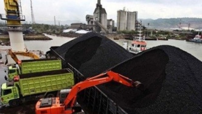 Los recursos de Bumi se diversificarán en el sector mineral crítico y posterior

