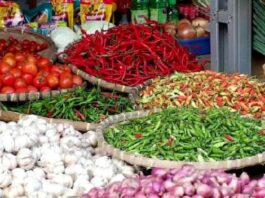 Cebolla hasta que el pimiento rojo de Cayenne sube

