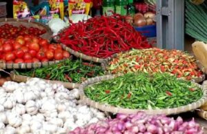 Cebolla hasta que el pimiento rojo de Cayenne sube Cebolla hasta que el pimiento rojo de Cayenne sube