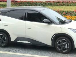 Patwal Fine, Byd Seagull y lanzamiento en Giias 2025

