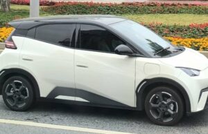 Patwal Fine, Byd Seagull y lanzamiento en Giias 2025 Patwal Fine, Byd Seagull y lanzamiento en Giias 2025