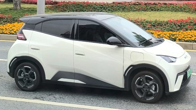 Patwal Fine, Byd Seagull y lanzamiento en Giias 2025

