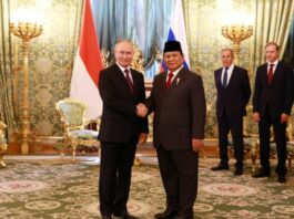 Rusia está lista para apoyar la energía de Indonesia, la extensión de la infraestructura

