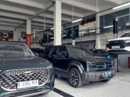 Chery ha lanzado muchos autos nuevos en Giias 2025, ¿hay un competidor de automóviles eléctricos de BYD?

