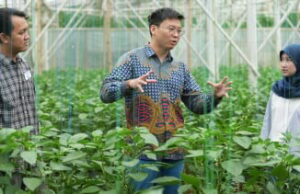 A través de la cultura, los jóvenes se mueven para ser los pioneros de la paz Program British Council (Doc: Istimewa)