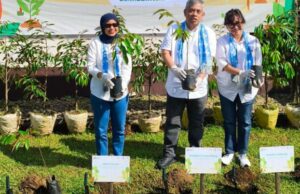 Una familia, un árbol: una forma simple de ser parte del cambio climático Satu Keluarga, Satu Pohon: Cara Sederhana untuk Jadi Bagian dari Perubahan Iklim
