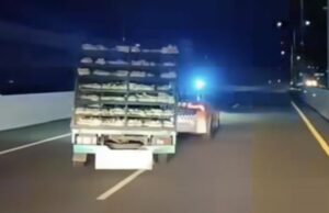 Police vs camiones de pollo, persiguiendo en la carretera de peaje Polisi vs Truk Ayam, Kejar-kejaran di Tol