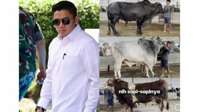 Letkol Teddy Borong 4 Sapi Premium di Detik-detik Penghujung Idul Adha, Irfan Hakim Bocorin Niat Baiknya